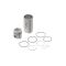 AR78041: Piston Liner Kit