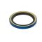 AT12820: Internal Oil Seal