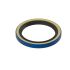 AT12820: Internal Oil Seal