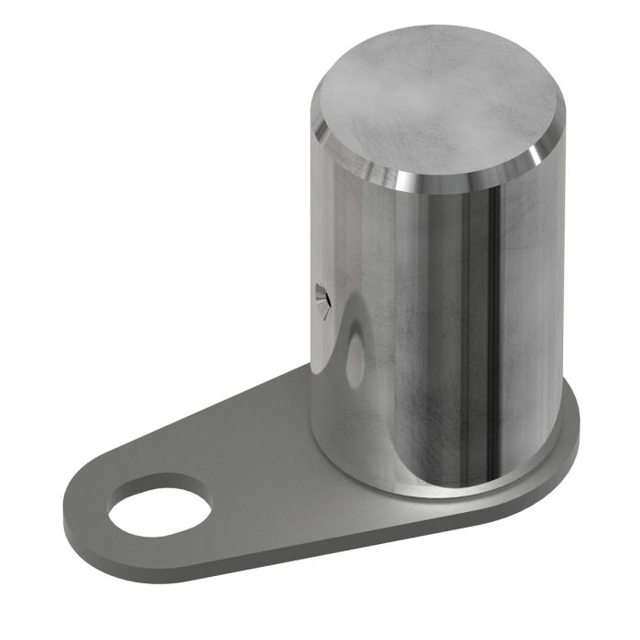 AT306499: Pivot Pin