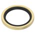 AW12011: Internal Oil Rubber Seal