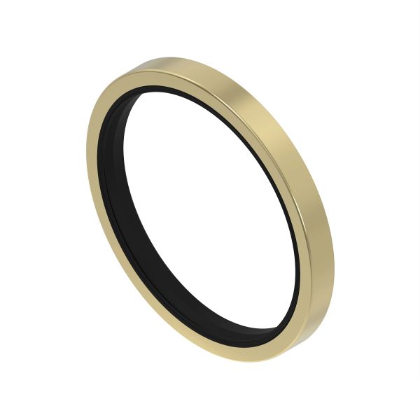 AZ48693: Internal Oil Steel Seal