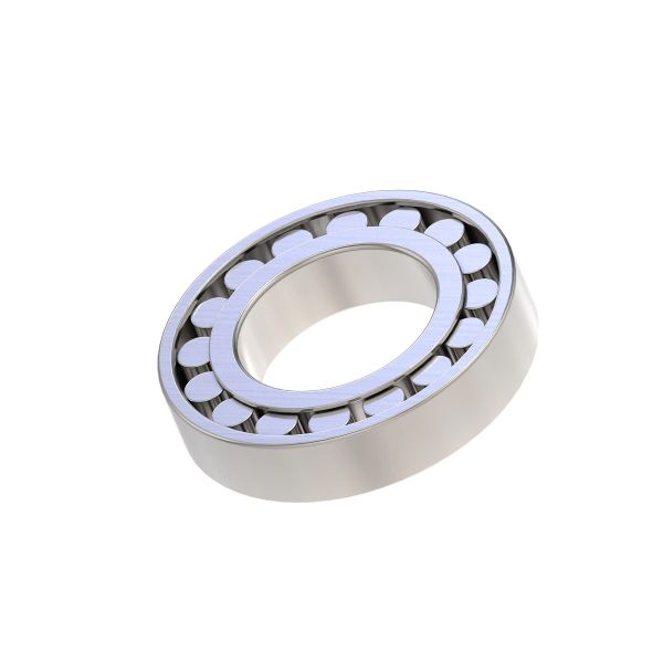 AZ48695: Single Roller Bearing