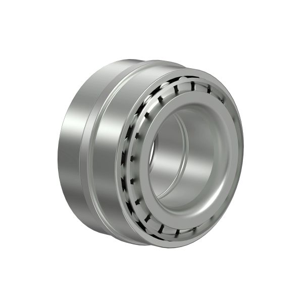 DE18970: Roller Bearing