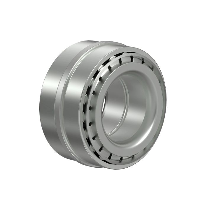 DE18970: Roller Bearing