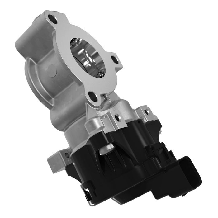 DZ108461: Exhaust Gas Recycling Valve