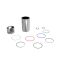 DZ110417: Piston Liner Kit