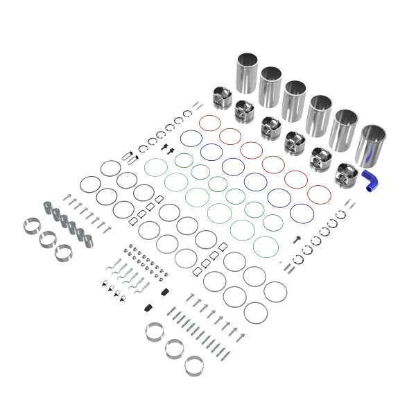 DZ110431: Engine Overhaul Kit