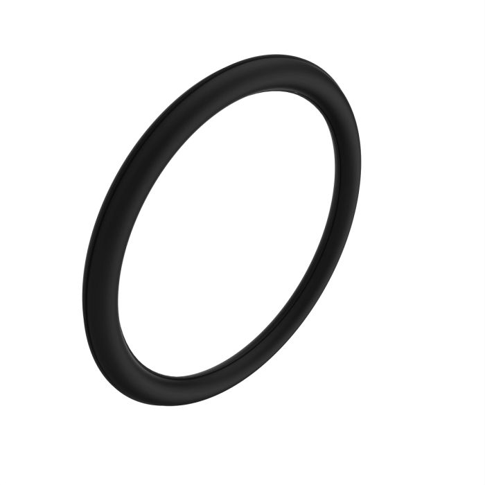 DZ114164: O-Ring