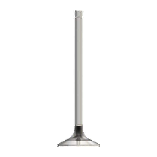 M147596: Exhaust Valve