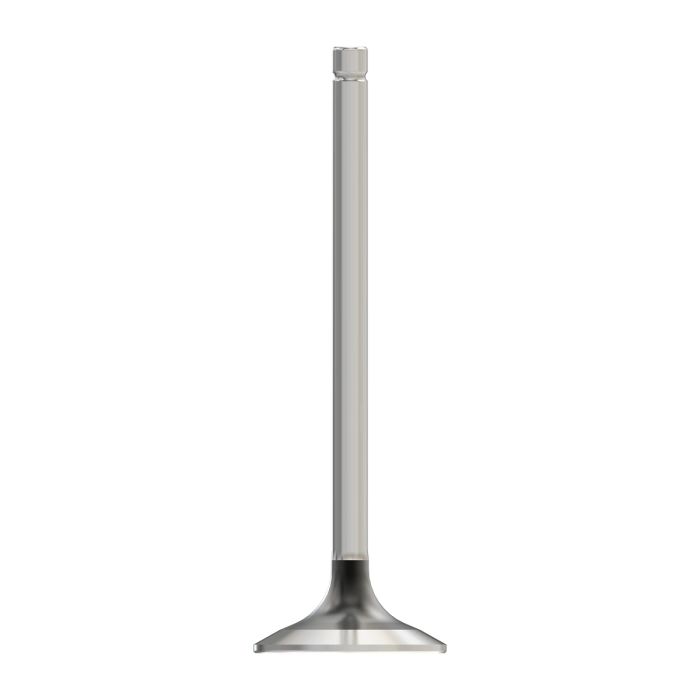 M147596: Exhaust Valve