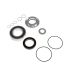 PM34300748: Pump Seal Kit