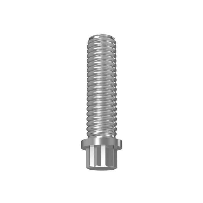 R114105: Flanged Screw, 12.7 X 63.5 mm (1/2" X 2-1/2")