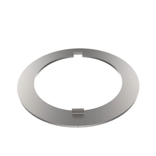 R124958: Thrust Washer