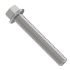 R136507: Hexagonal Head Flanged Screw, M10 X 70