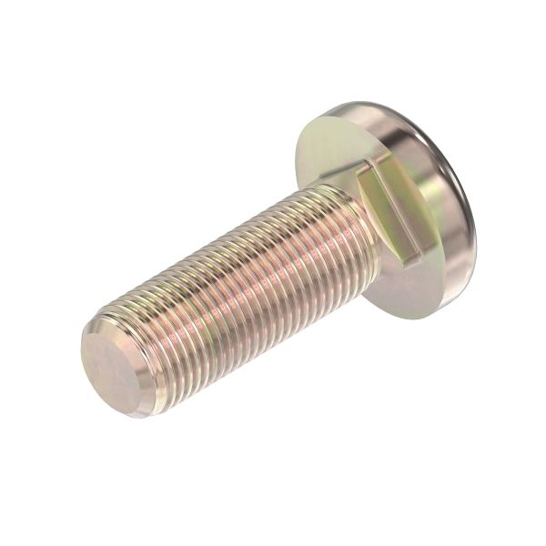R175576: Round Head Square Neck Bolt, M16 X 50