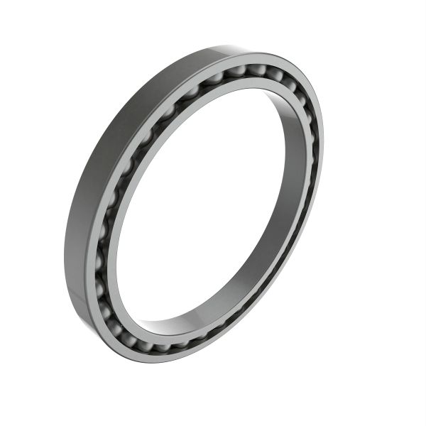 R203828: Single Row Cylindrical Ball Bearing