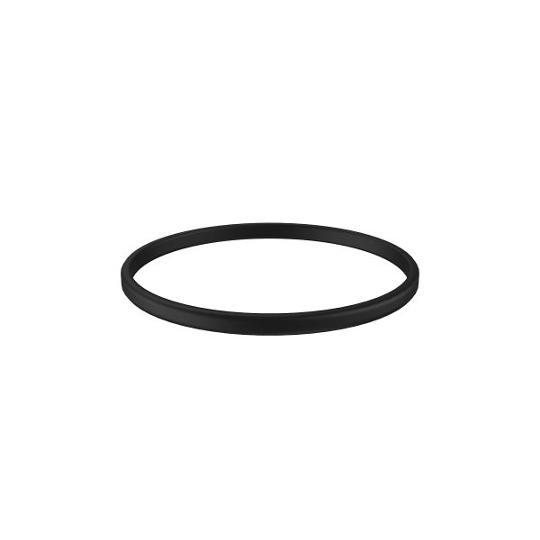 R34733: Filter O-Ring