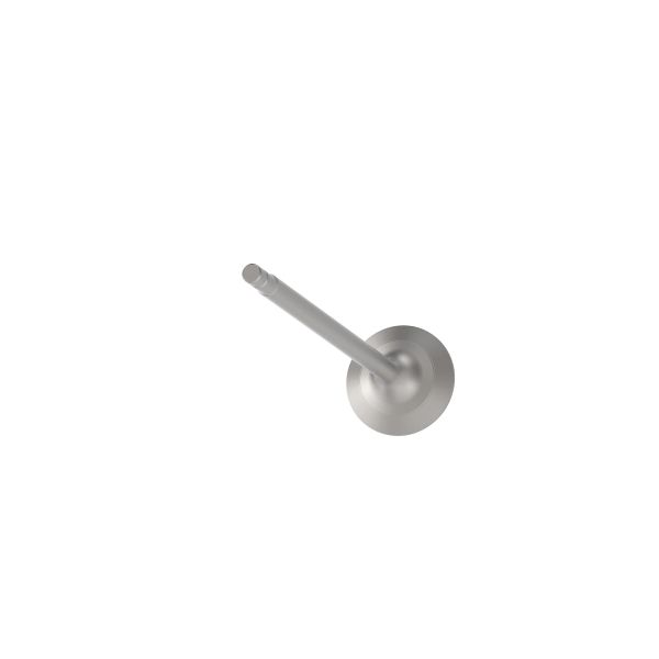 R516892: Exhaust Valve