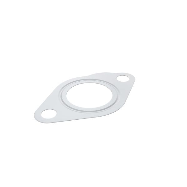 R519487: Engine EGR Cooler Gasket