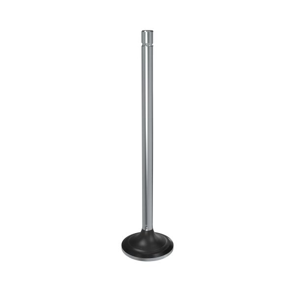 R520224: Exhaust Valve