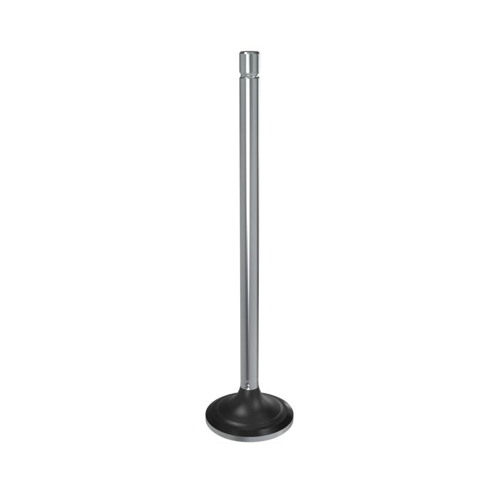 R520224: Exhaust Valve