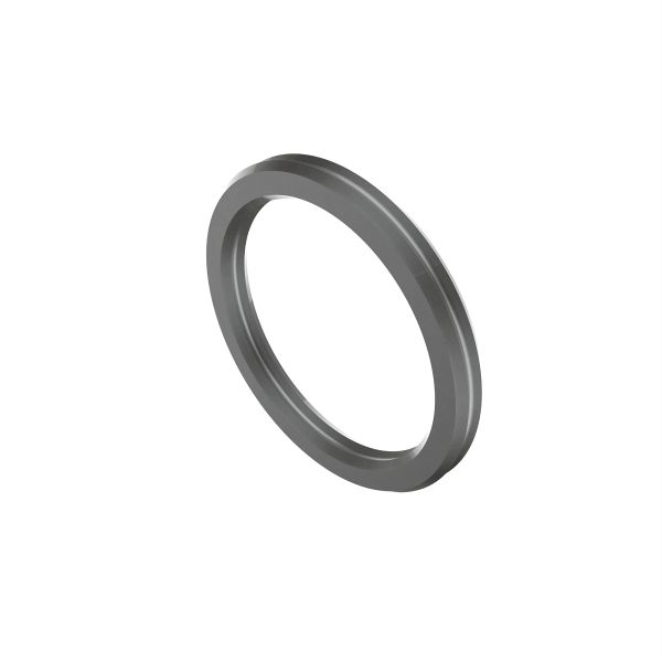 R56298: Thrust Washer
