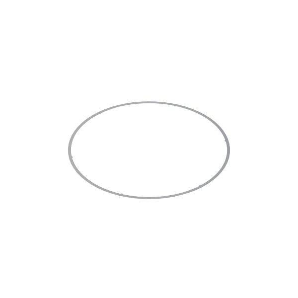 R81276: Plain Circular Shim