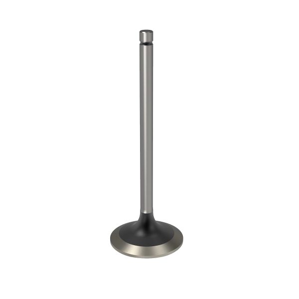 R98062: Intake Valve, Standard