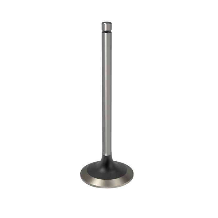 R98062: Intake Valve, Standard