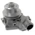 RE25347: Water Pump