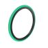 RE300803: Seal