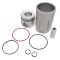 RE520768: Piston Liner Kit