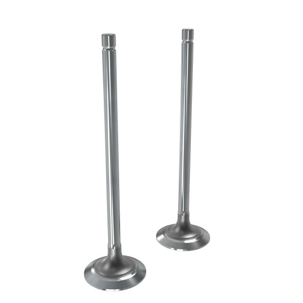 RE557891: Exhaust Valve Kit
