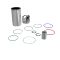 RE564870: Piston Liner Kit