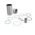 RE564870: Piston Liner Kit