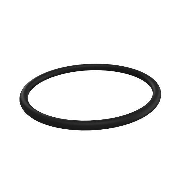 T19854: Round Cross Section O-Ring