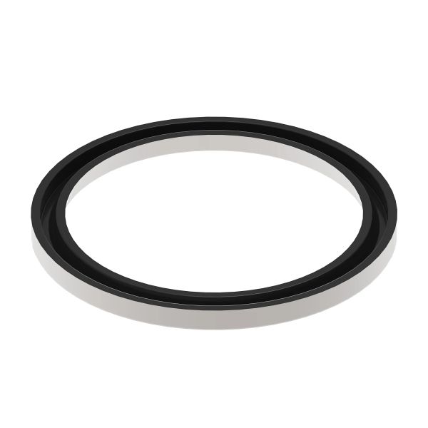 TH100374: Dust Seal
