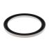 TH100374: Dust Seal